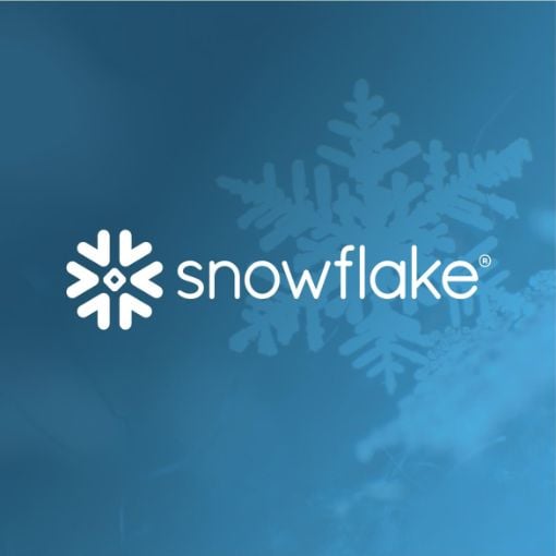 Snowflake-1