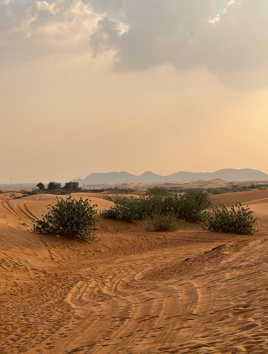 desert-sands-4